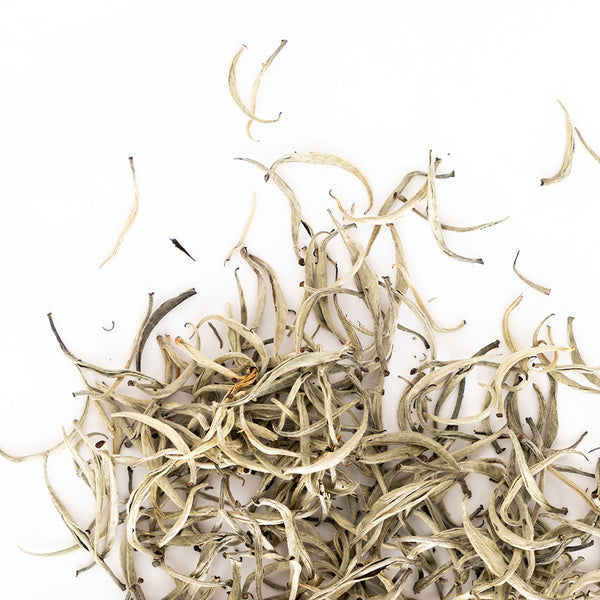 Phidim Silver Tips Silver Yeti White Tea — Tea Curious