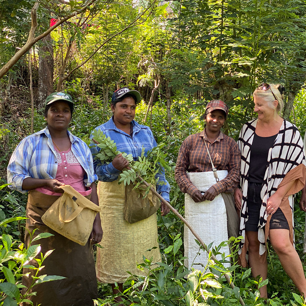 Uniqueness of Single Estate Teas