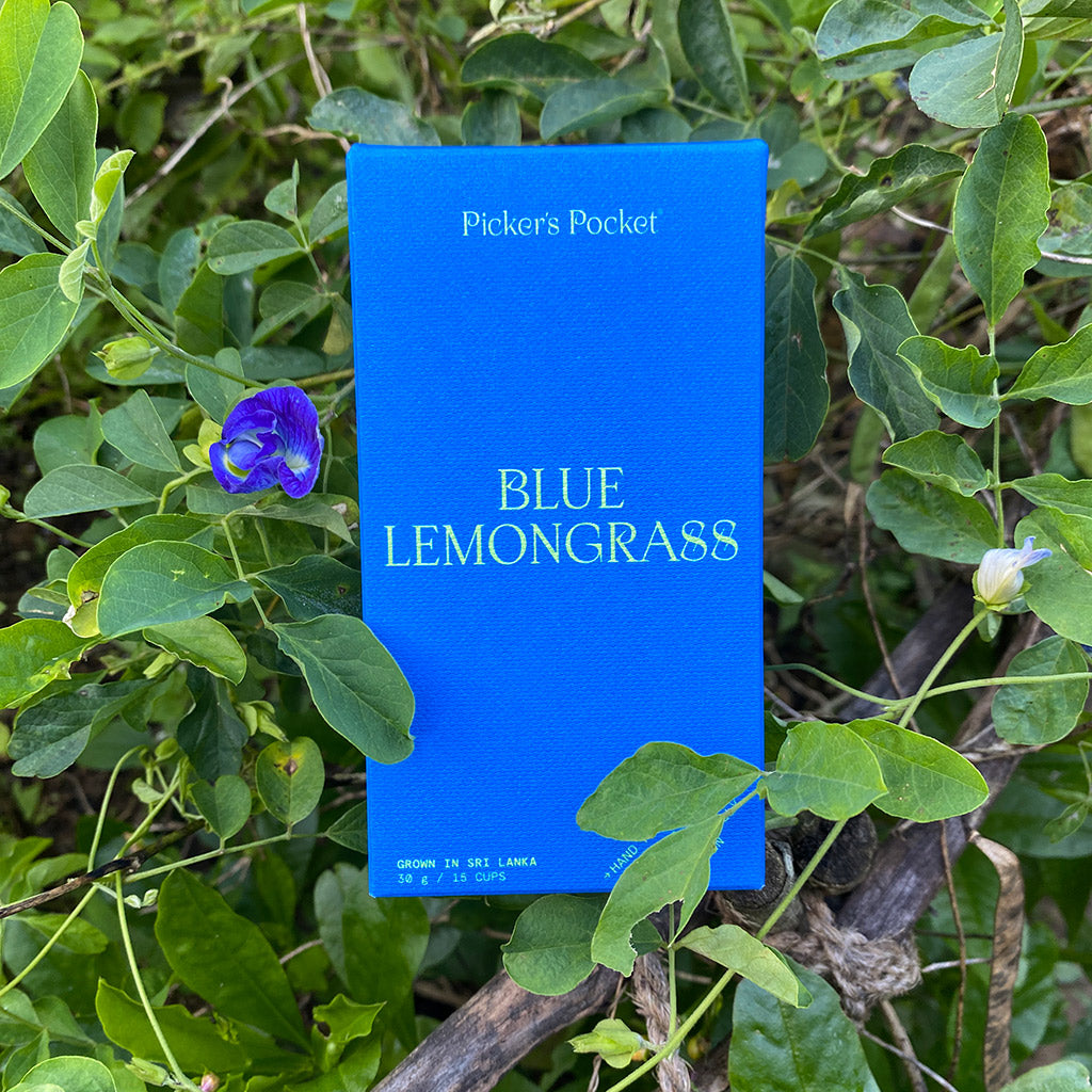 The Health Benefits of Blue Lemongrass