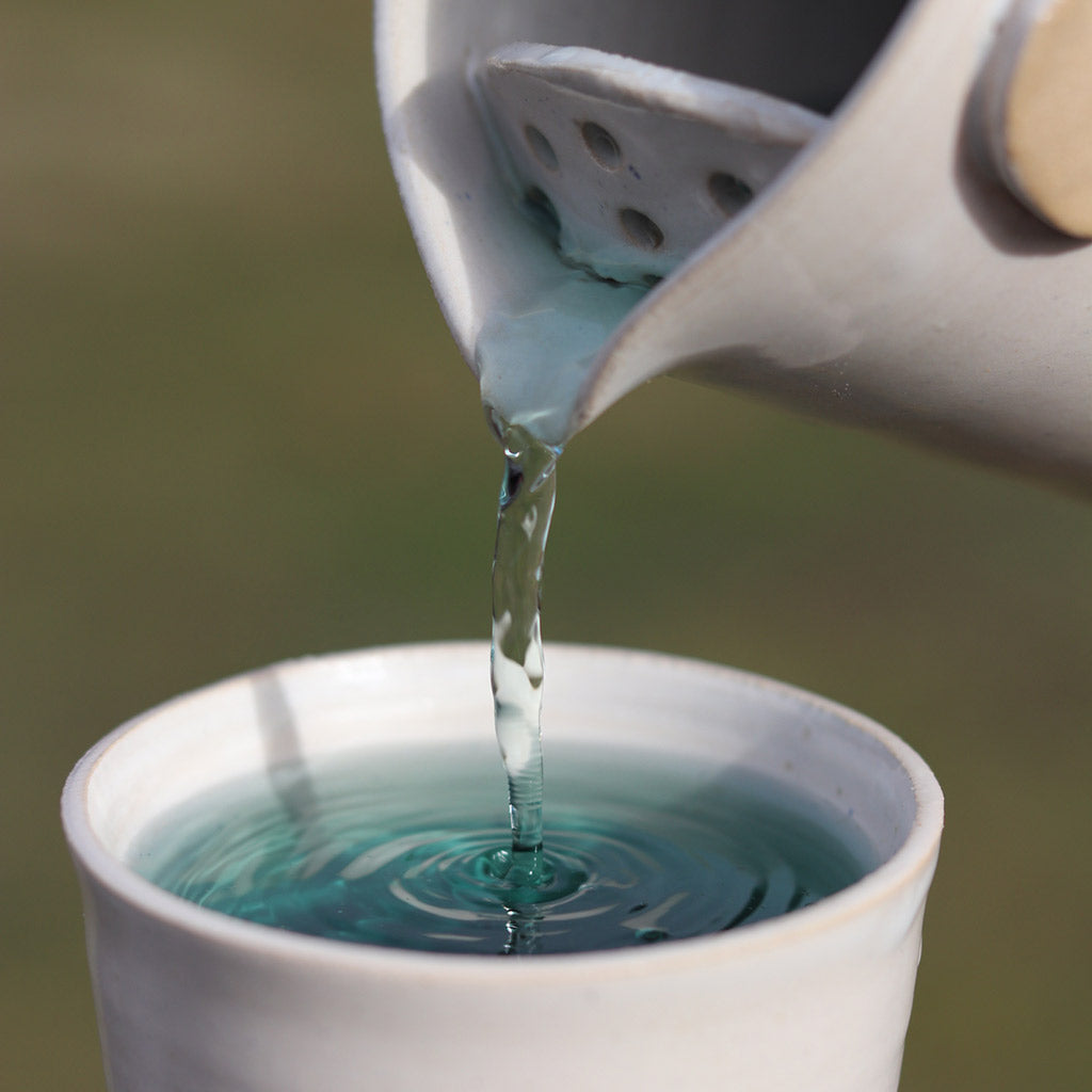 Unraveling the Caffeine Mystery: Mint Tea and Herbal Infusions