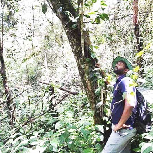 Meet our growers-  Wilderness Tea