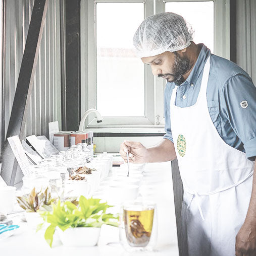 Tea Tasting and Testing