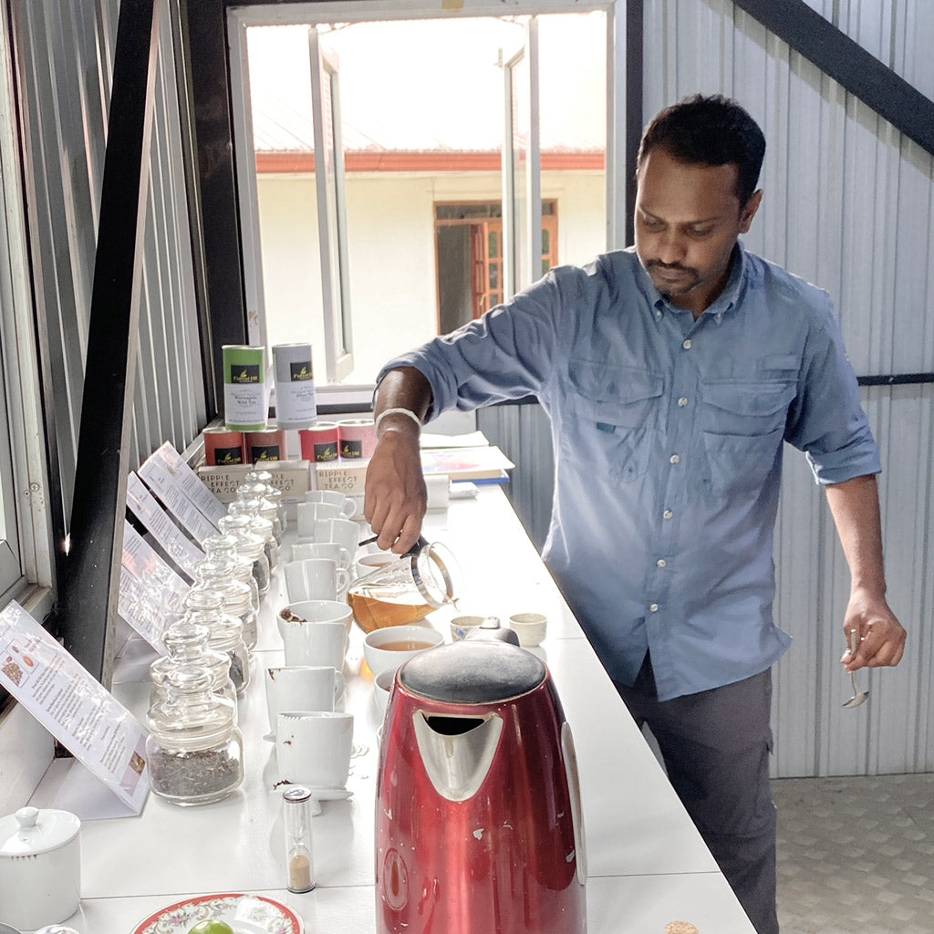 Brew a Memorable Cuppa - Quality Matters