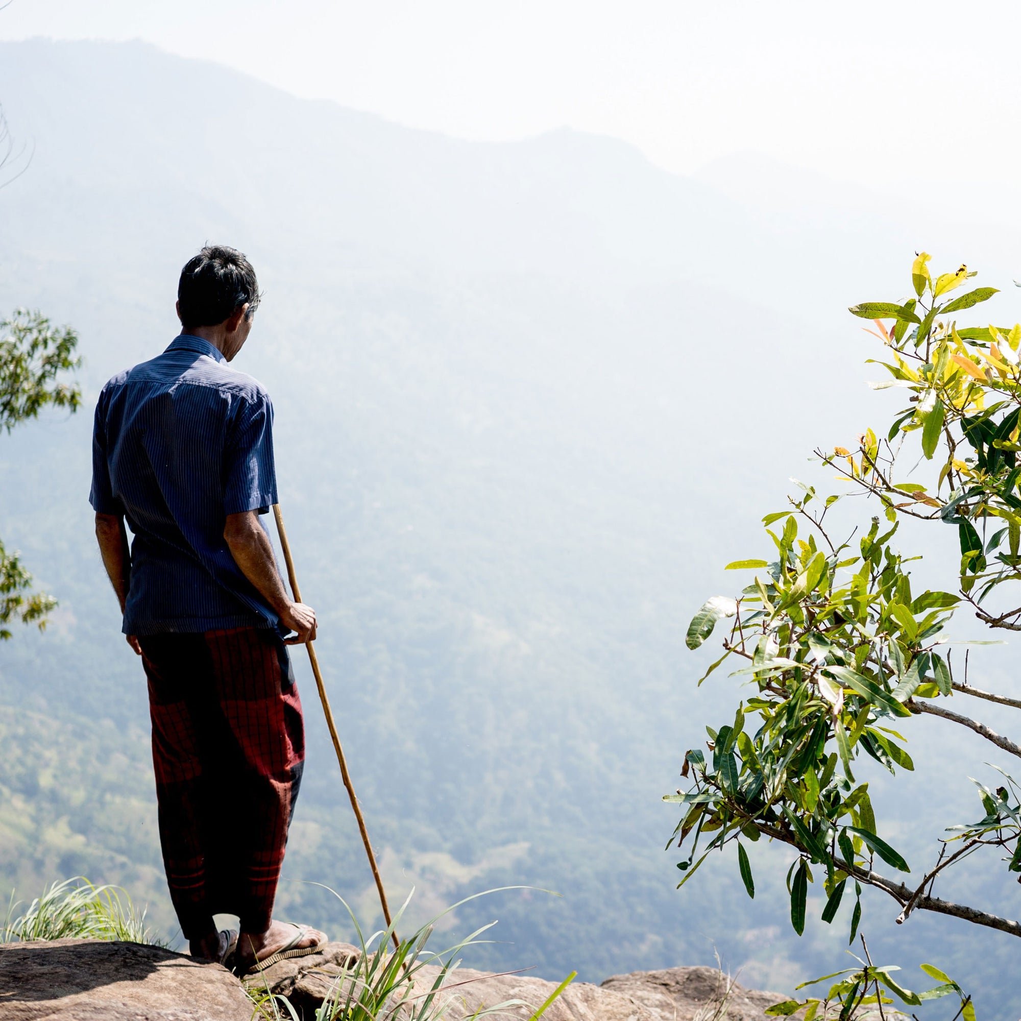 Hiking to the summit of Ella Rock in Sri Lanka's tea country