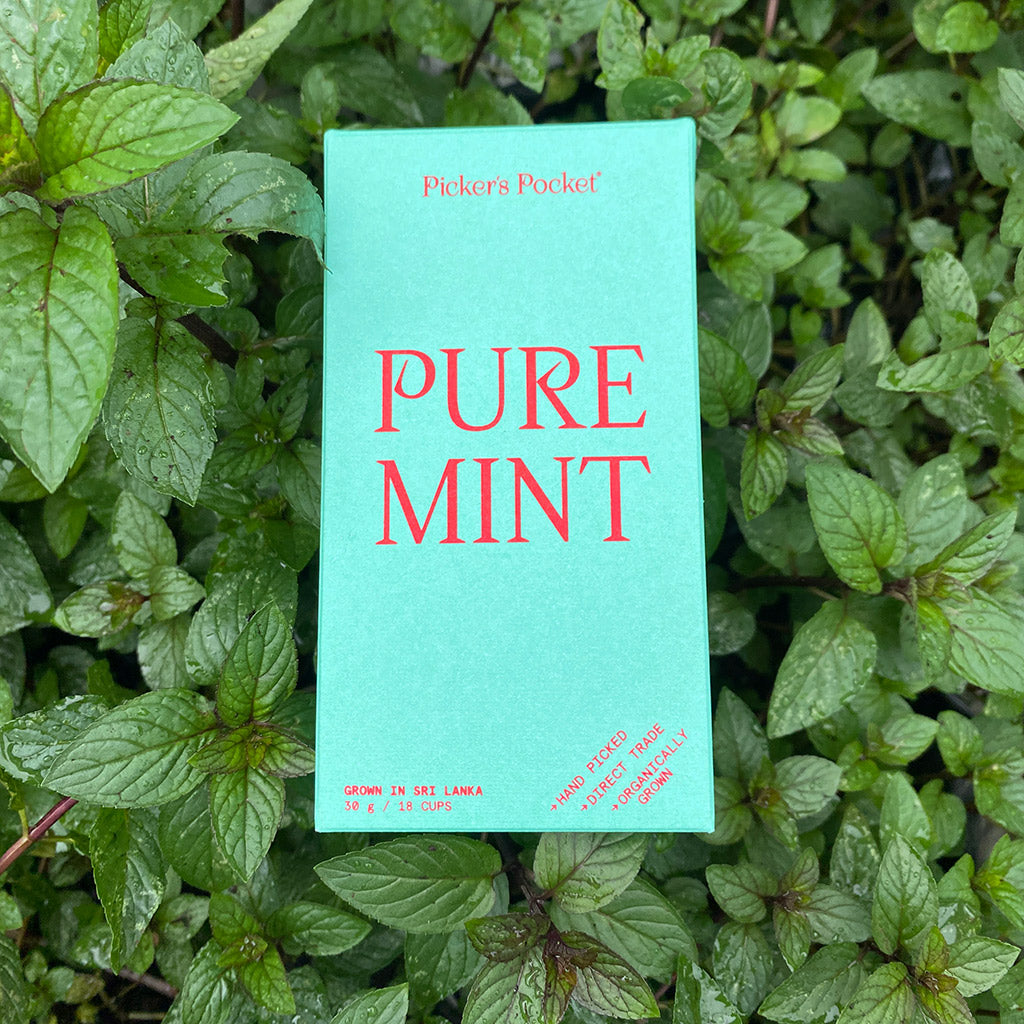 Mint Tea - Nature's Tranquilizer for Blissful Slumber