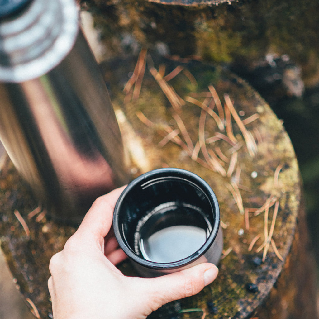 Pine Needle Tea and Its Remarkable Benefits