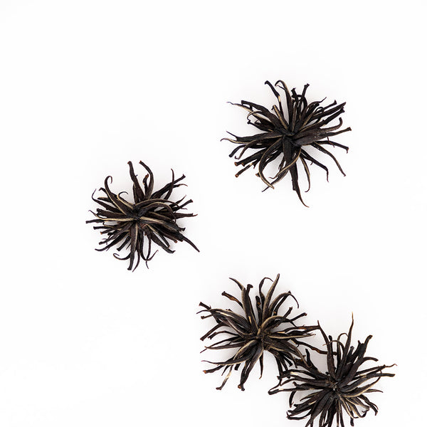 White Stars